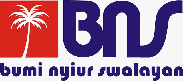BNS